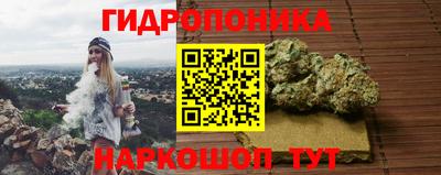 дурь Новодвинск