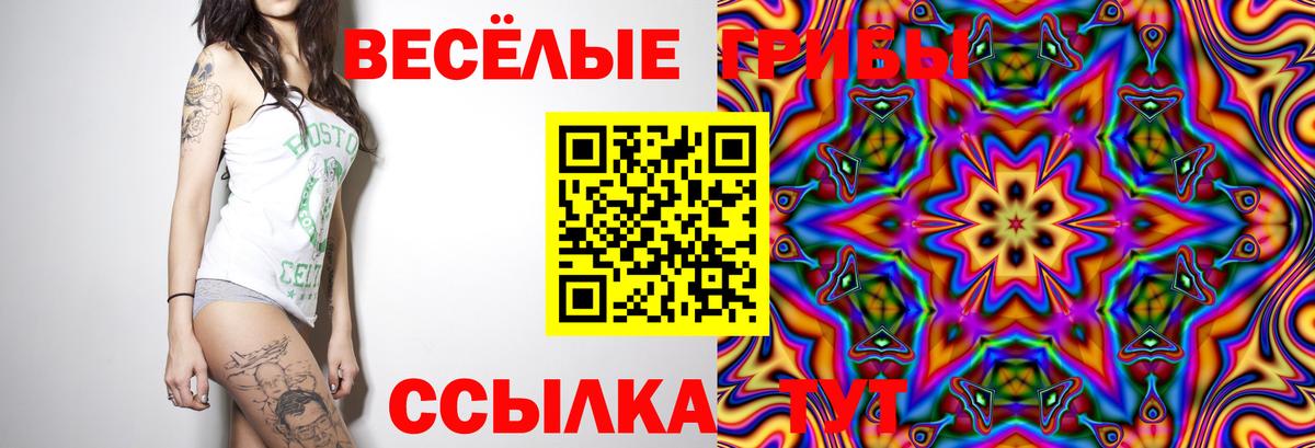 Псилоцибиновые грибы Psilocybe Туймазы