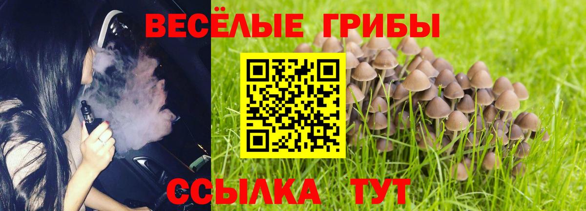 Галлюциногенные грибы Psilocybe  Вход с VPN  магазин продажи наркотиков  Туймазы 