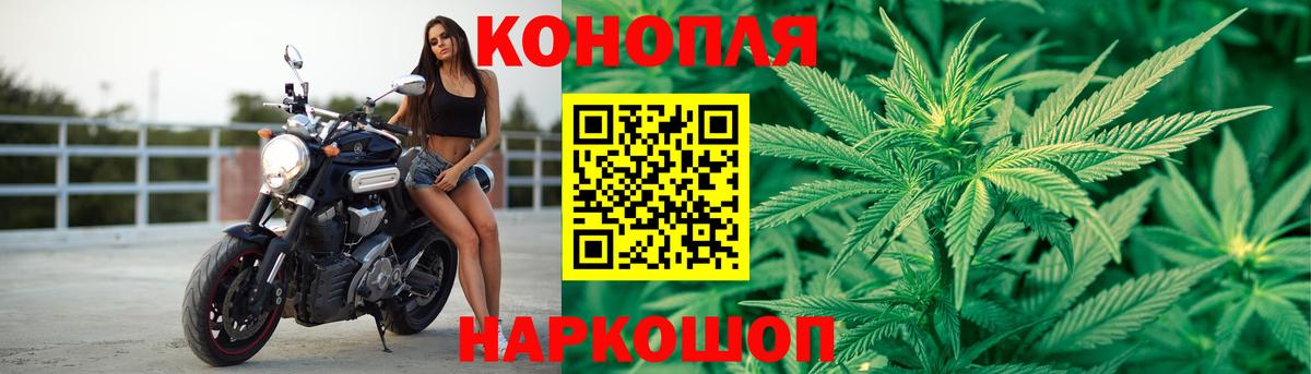 Бошки Шишки семена Туймазы